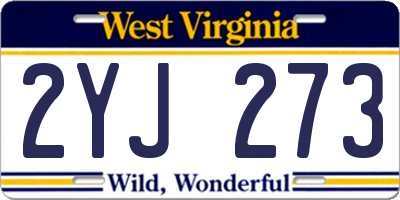 WV license plate 2YJ273