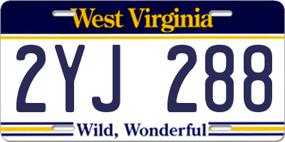 WV license plate 2YJ288