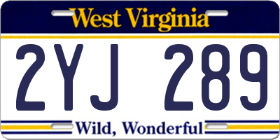 WV license plate 2YJ289