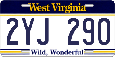 WV license plate 2YJ290