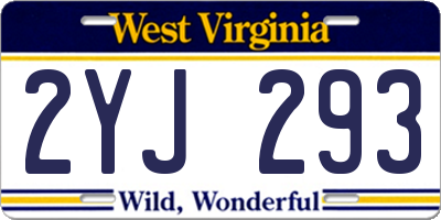 WV license plate 2YJ293