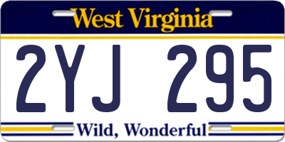 WV license plate 2YJ295