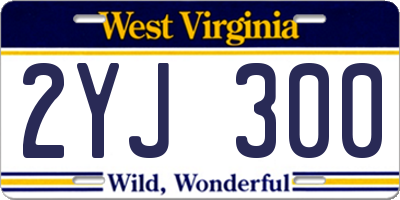 WV license plate 2YJ300