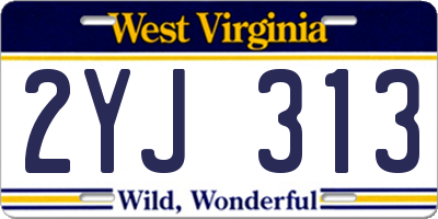 WV license plate 2YJ313