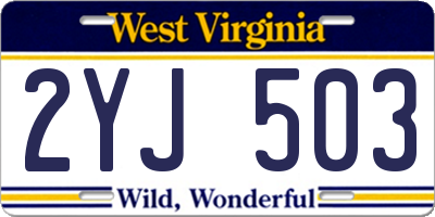 WV license plate 2YJ503