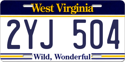WV license plate 2YJ504