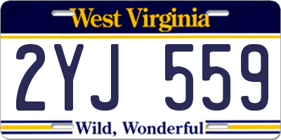 WV license plate 2YJ559