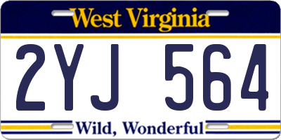 WV license plate 2YJ564