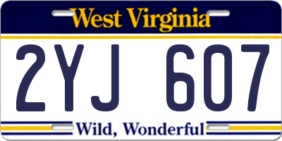 WV license plate 2YJ607