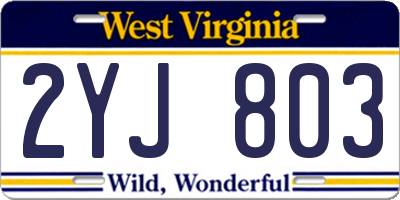WV license plate 2YJ803