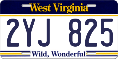 WV license plate 2YJ825