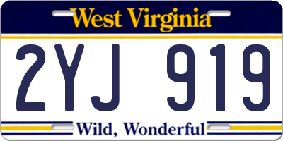 WV license plate 2YJ919
