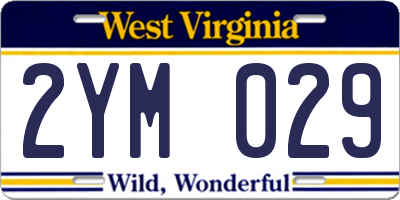 WV license plate 2YM029