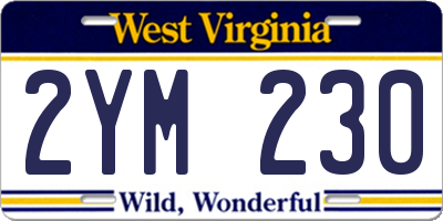 WV license plate 2YM230