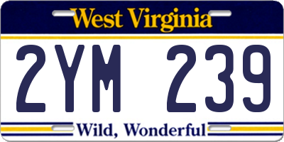 WV license plate 2YM239
