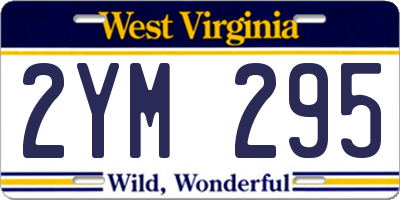 WV license plate 2YM295