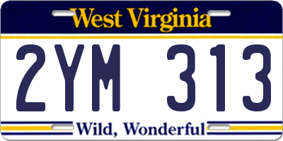 WV license plate 2YM313