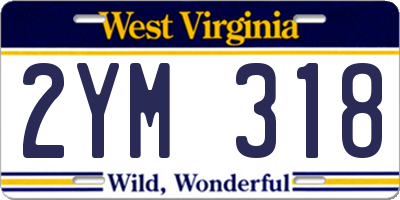 WV license plate 2YM318