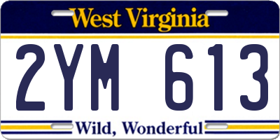 WV license plate 2YM613