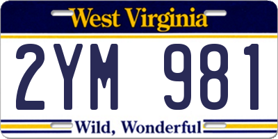 WV license plate 2YM981