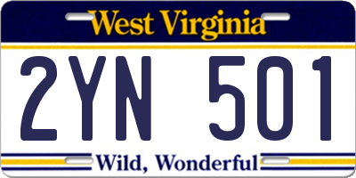WV license plate 2YN501