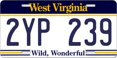WV license plate 2YP239