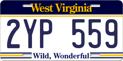 WV license plate 2YP559
