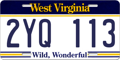 WV license plate 2YQ113