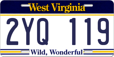 WV license plate 2YQ119