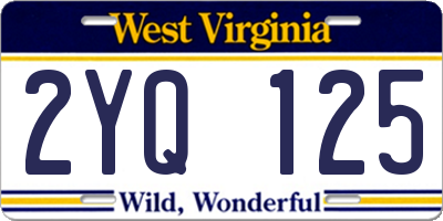 WV license plate 2YQ125