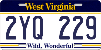 WV license plate 2YQ229