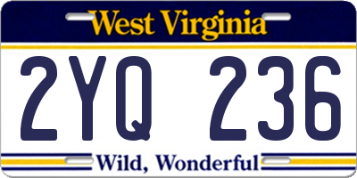 WV license plate 2YQ236