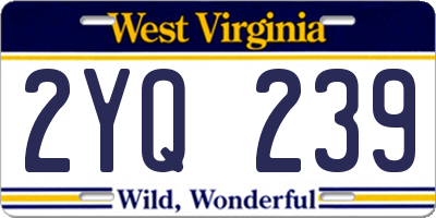 WV license plate 2YQ239
