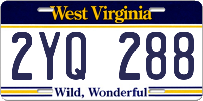 WV license plate 2YQ288