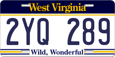 WV license plate 2YQ289
