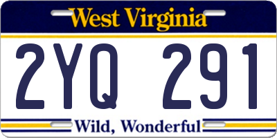WV license plate 2YQ291