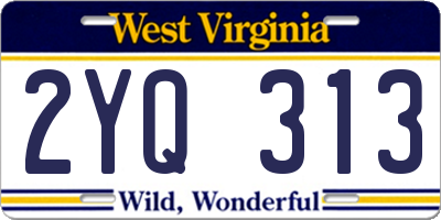 WV license plate 2YQ313
