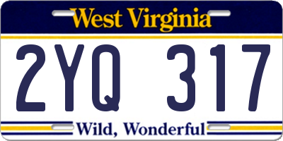 WV license plate 2YQ317