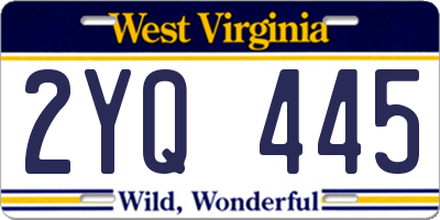 WV license plate 2YQ445
