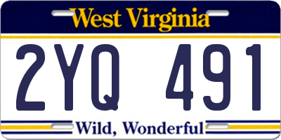 WV license plate 2YQ491