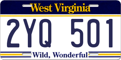 WV license plate 2YQ501