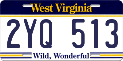 WV license plate 2YQ513