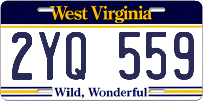 WV license plate 2YQ559