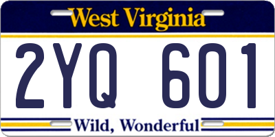 WV license plate 2YQ601