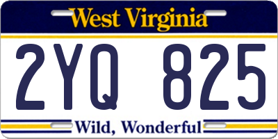 WV license plate 2YQ825