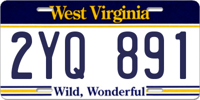 WV license plate 2YQ891
