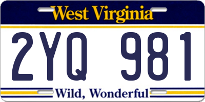 WV license plate 2YQ981