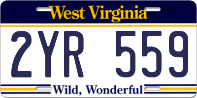 WV license plate 2YR559