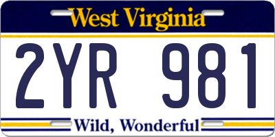 WV license plate 2YR981