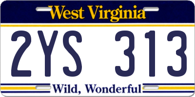 WV license plate 2YS313